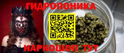mdpv Рыбинск